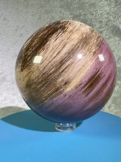 Petrified Wood Sphere. 74mm. Gorgeous Rare Display Sphere From Madagascar. Stunning Colors And Patterns.