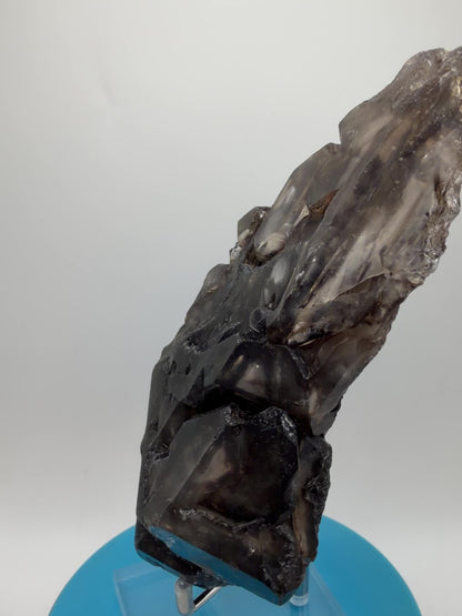 Elestial Quartz Specimen. High Quality Smoky Quartz Cluster. Amazing Colors, Excellent Windows, And Gorgeous Rainbows!