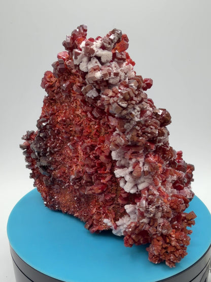 Vanadinite Crystal Specimen. Large High Quality Crystal Cluster. Gorgeous Mineral Specimen From Morocco