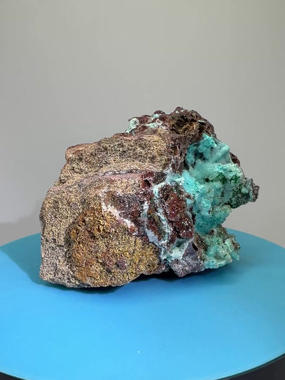 Chrysocolla And Malachite Specimen. Druzy Chrysocolla From Likasi, Congo. Gorgeous Display Crystal.