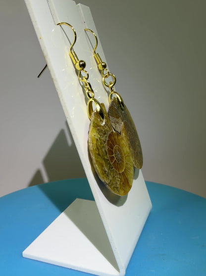 Ammonite Crystal Earrings. Amazing One Of A Kind Jewelry. High Quality Ammonite Pair