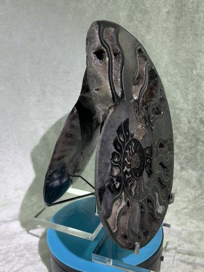 Black Ammonite Display Pair. Extra Large Rare Fossil Specimen From Madagascar. Split And Polished With Amazing Druzy.