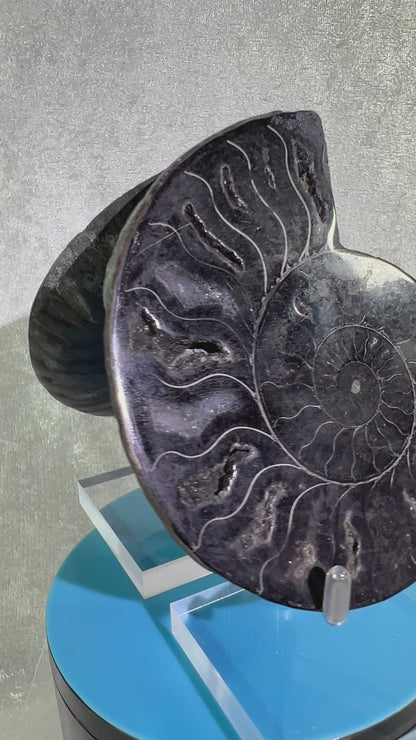 Black Ammonite Display Pair. Gorgeous Rare Fossil Specimen From Madagascar. Split And Polished With Amazing Druzy.