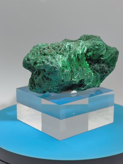 Malachite Display Specimen. Silky Malachite Cluster. High Quality Velvet Malachite From The Congo