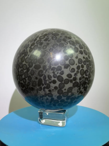 Leopardskin Jasper Sphere. 79mm. Gorgeous And Realistic Leopard Cheetah Patterns. Very Pretty Display Crystal
