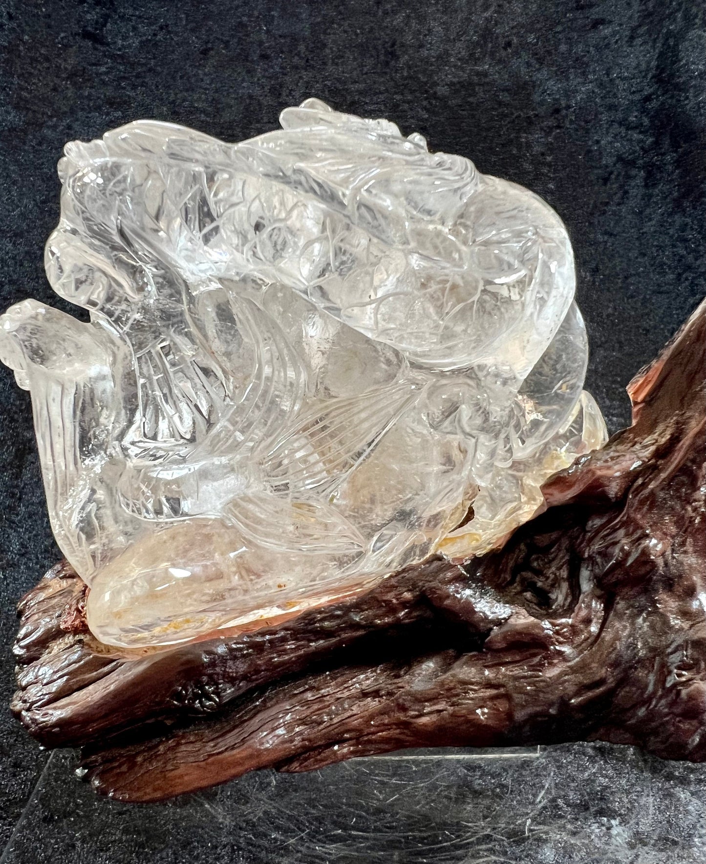 Large Clear Quartz Dragon Carving. Stunning Crystal Carving With Custom Driftwood Stand.