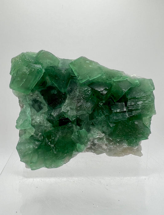 Deep Green Fluorite Cubes Specimen. 1.3 lbs. Rare And Beautiful Apple Green Fluorite. Incredible Crystal Cluster!